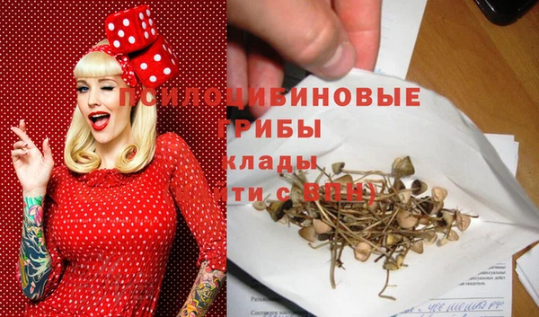 бошки Алексин