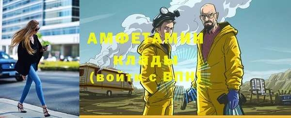 бошки Алексин