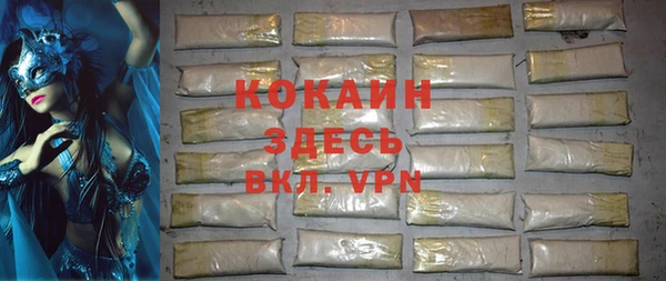 бошки Алексин